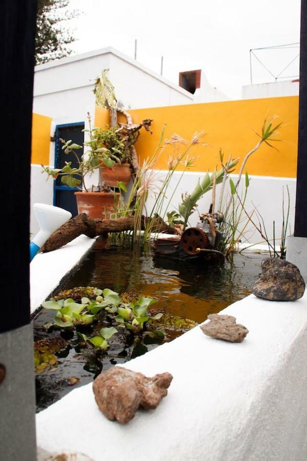 Vila Pura Vida Casa Del Mar Breña Baja Exteriér fotografie